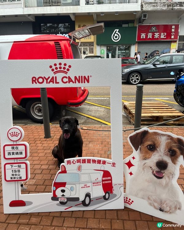 西貢Royal Canin 打卡💕