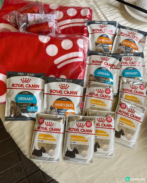 西貢Royal Canin 打卡💕