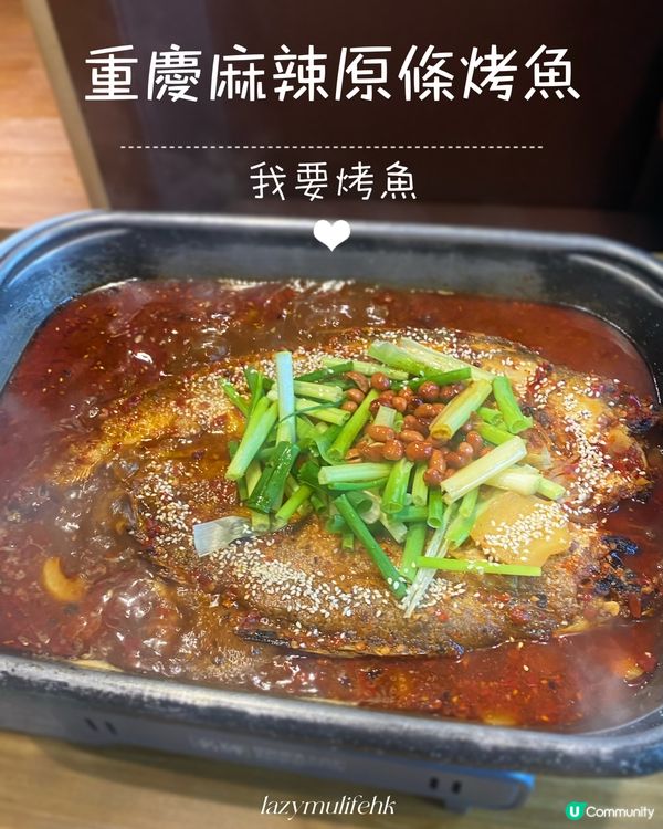 銅鑼灣性價比高烤魚🔥午市超值半價優惠