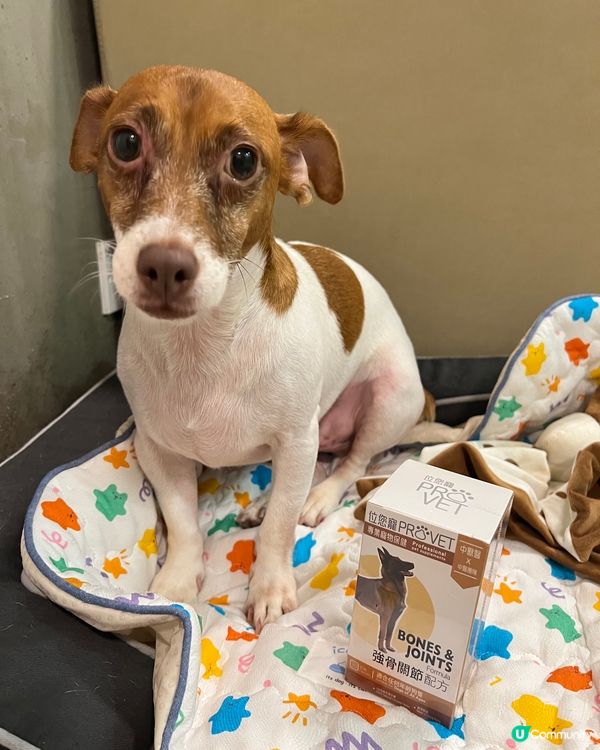 送位您寵「狗狗純天然保健品」