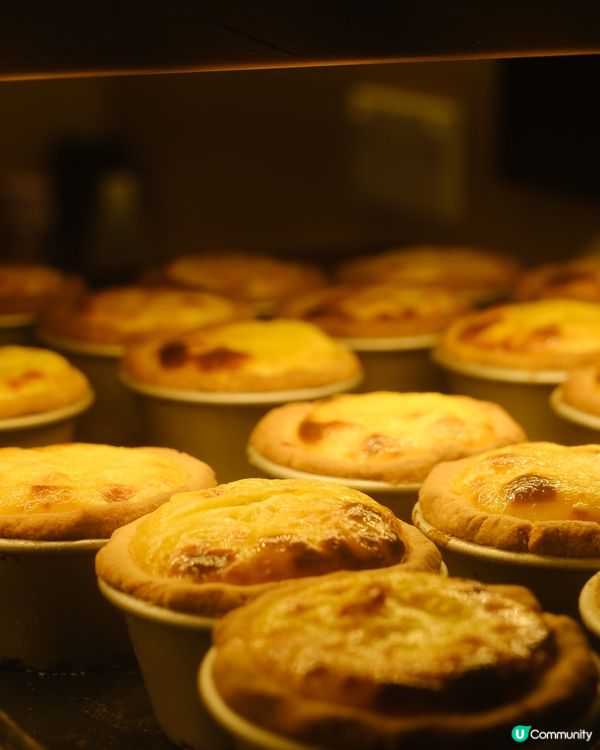 灣仔 ≣ 四十五年老字號 新鮮出爐蛋撻✨✨ 