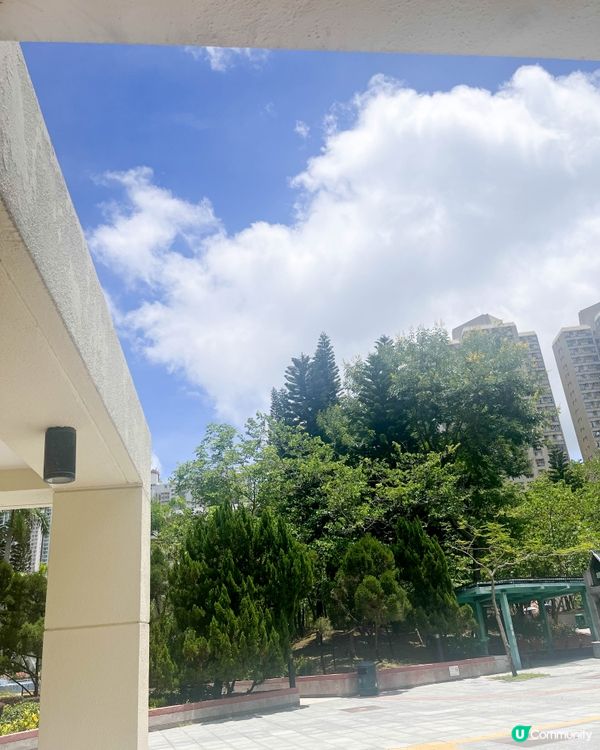 【公園小食亭的精品咖啡】