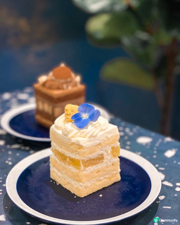 Lifetastic堂食咸點有驚喜😍