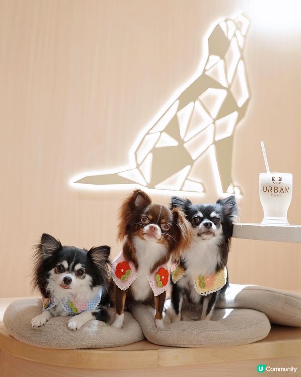 長沙灣麗新商場Urban Cafe🌱