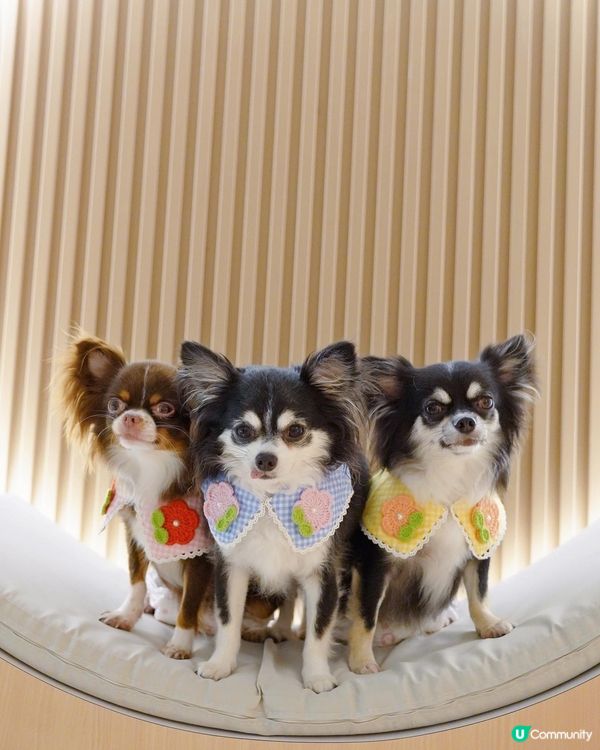 長沙灣麗新商場Urban Cafe🌱