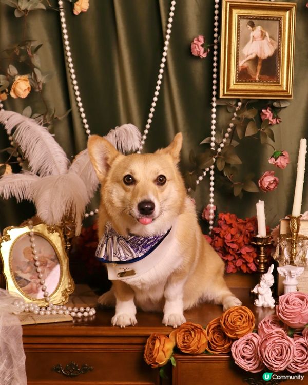 我靚仔嗎🥰🌷