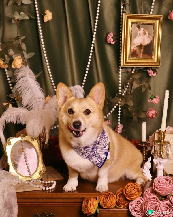 我靚仔嗎🥰🌷