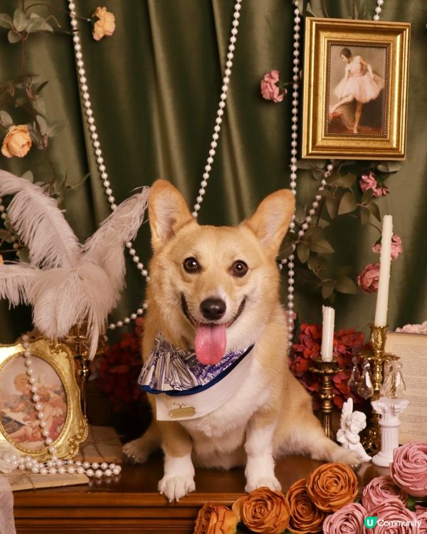 我靚仔嗎🥰🌷