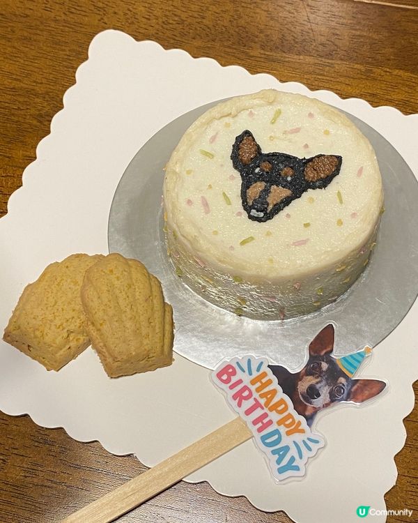 狗狗生日蛋糕
