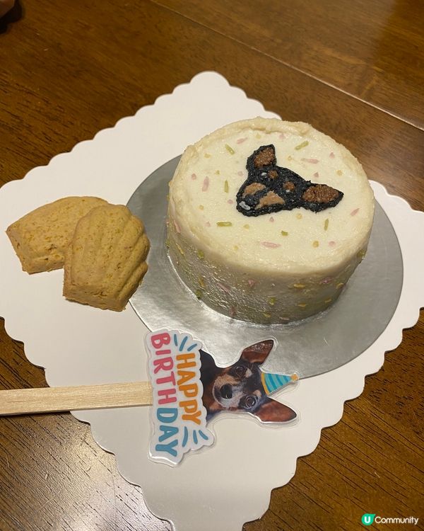 狗狗生日蛋糕