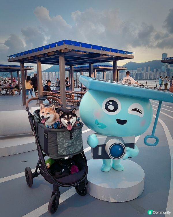 觀塘好去處。新寵物共享公園