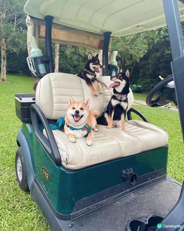 ⛳️🏌🏻‍♂️🌿一個慢活少年。同兩個爆電寶寶去草地的故事😶🫠