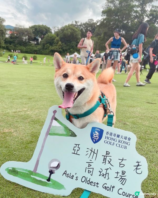 ⛳️🏌🏻‍♂️🌿一個慢活少年。同兩個爆電寶寶去草地的故事😶🫠