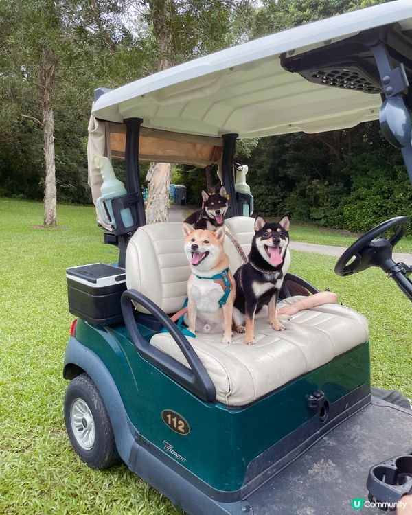 ⛳️🏌🏻‍♂️🌿一個慢活少年。同兩個爆電寶寶去草地的故事😶🫠