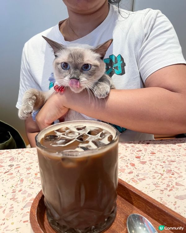 寵物友善咖啡店