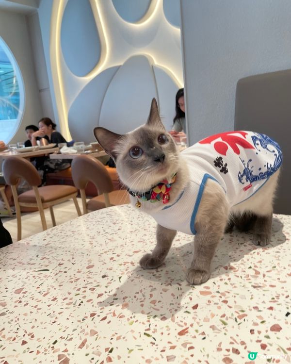 寵物友善咖啡店