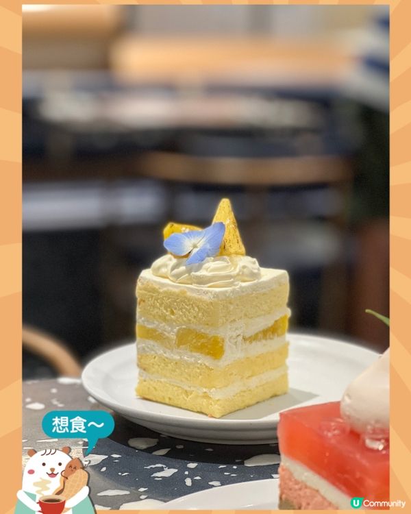 《LIFETASTIC款式繁多的特色蛋糕》