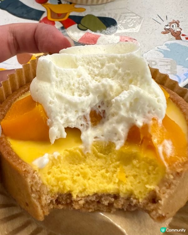 吸睛打卡蛋糕 - 散水餅之選 - 靚靚水果撻