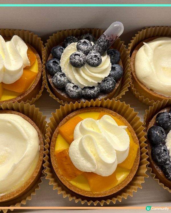 吸睛打卡蛋糕 - 散水餅之選 - 靚靚水果撻