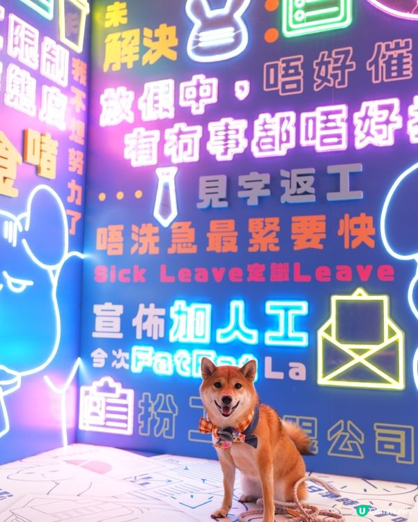 今天我不想做野