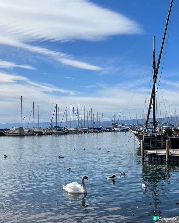 Port d’Ouchy