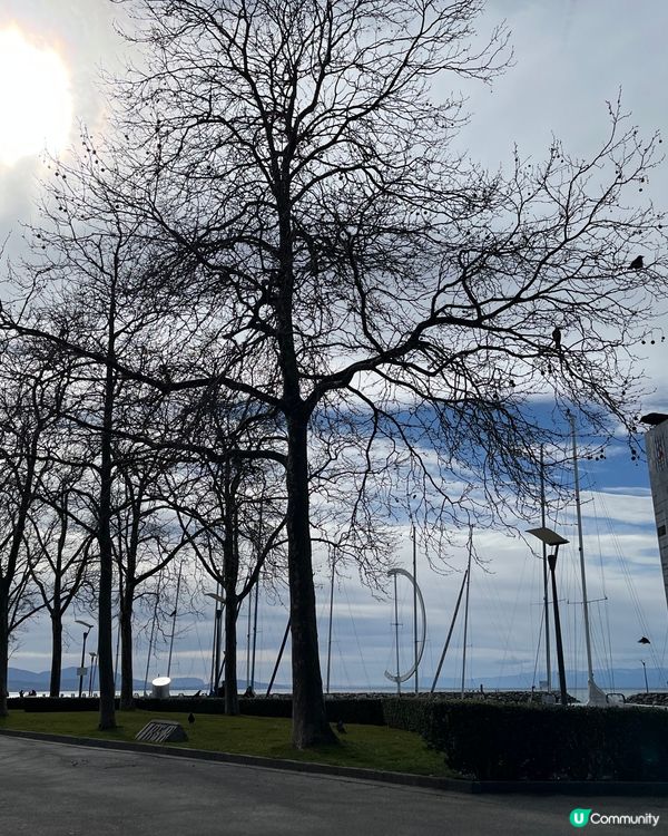Port d’Ouchy