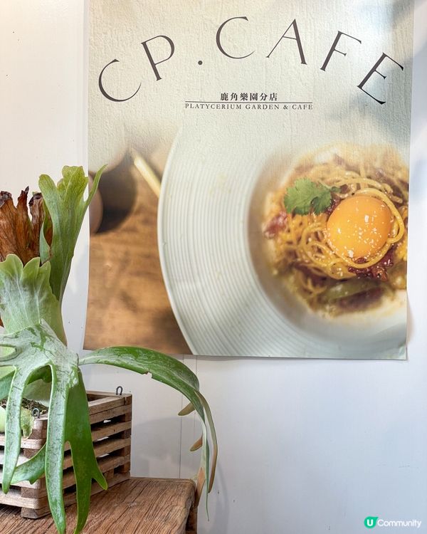 元朗｜錦田鹿角蕨主題cafe。CP Cafe