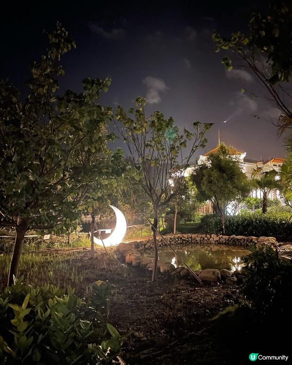 食西餐又可以同喵喵玩