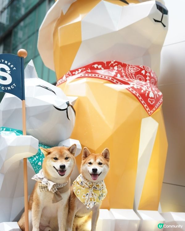 太古星街小區嘅寵物市集🛍️