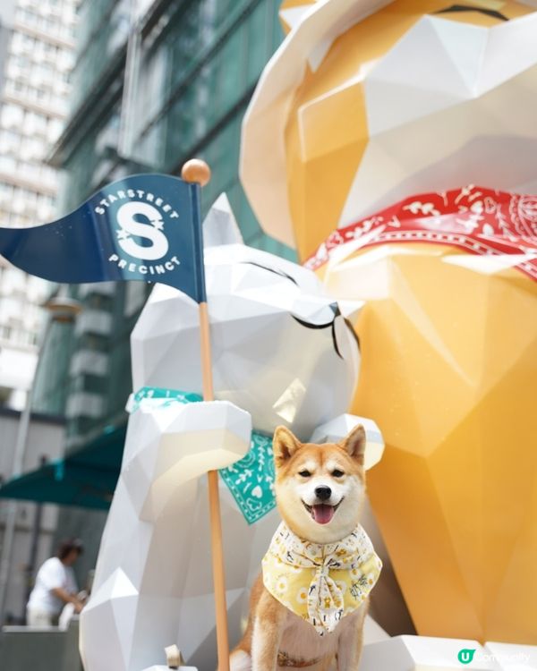 太古星街小區嘅寵物市集🛍️