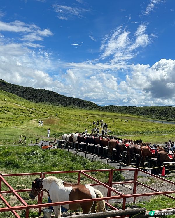 熊本——阿蘇火山山一日遊