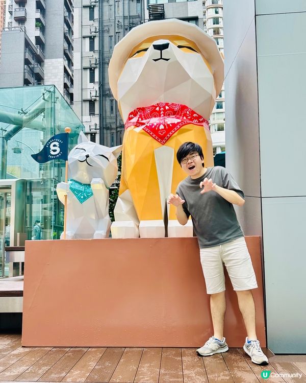 灣仔星街小區Pawsome探索之旅