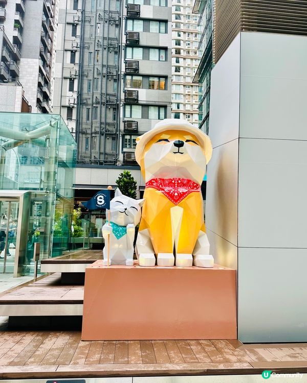 灣仔星街小區Pawsome探索之旅
