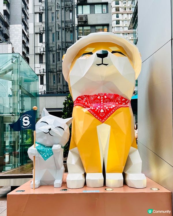灣仔星街小區Pawsome探索之旅