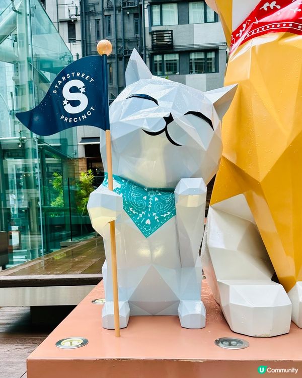 灣仔星街小區Pawsome探索之旅