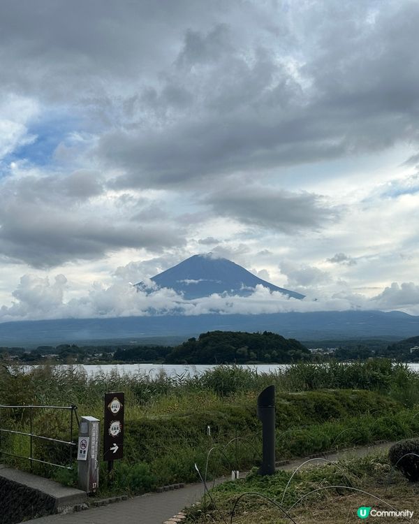 東京必去河口湖