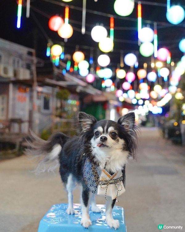 大澳中秋燈飾首日亮燈✨✨