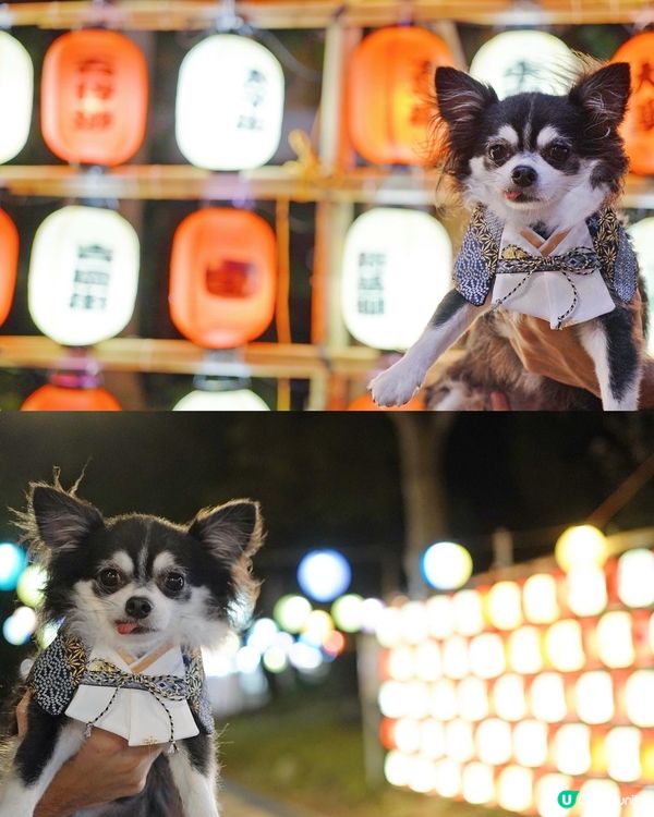 大澳中秋燈飾首日亮燈✨✨