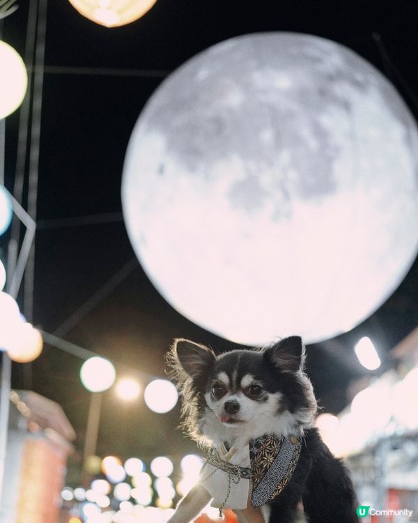 大澳中秋燈飾首日亮燈✨✨