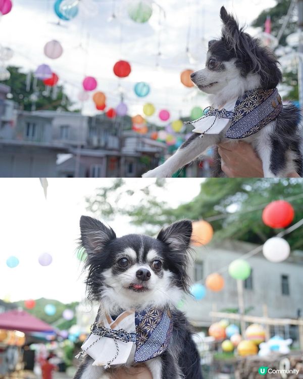 大澳中秋燈飾首日亮燈✨✨