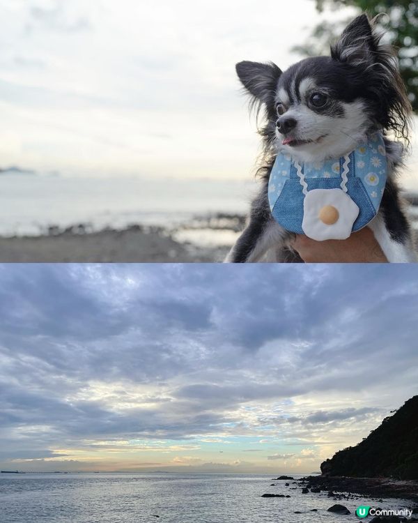 大澳中秋燈飾首日亮燈✨✨