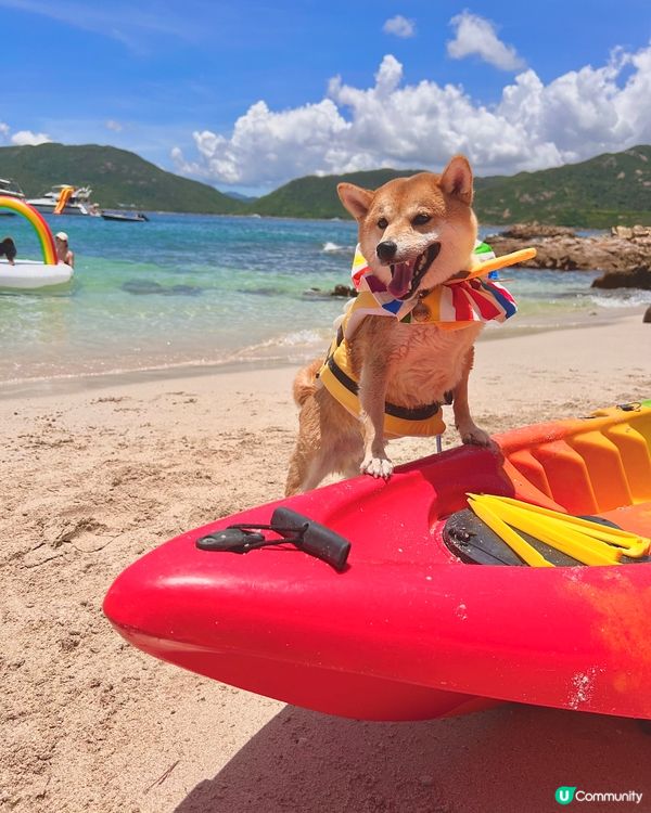 ☀🏖️處男下海記️🍧🩵