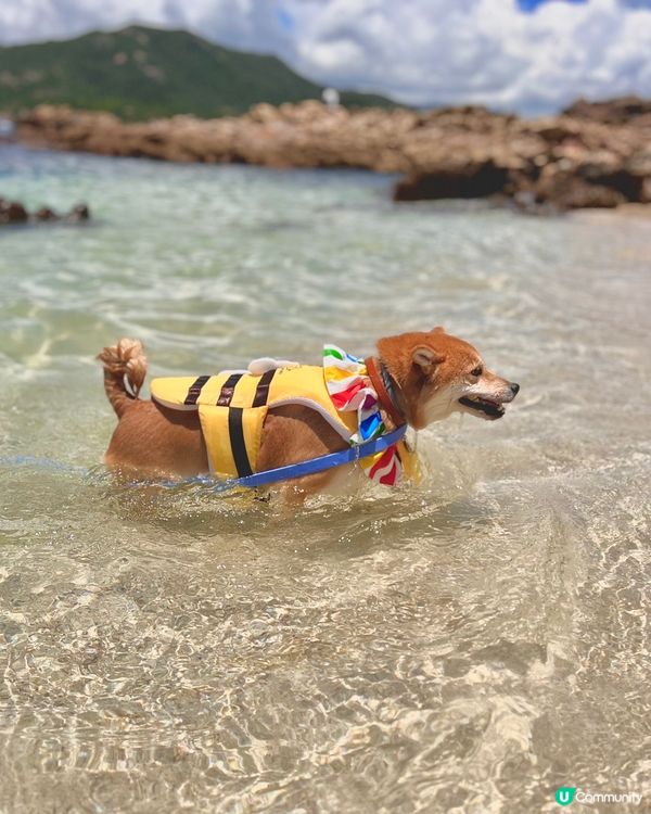 ☀🏖️處男下海記️🍧🩵