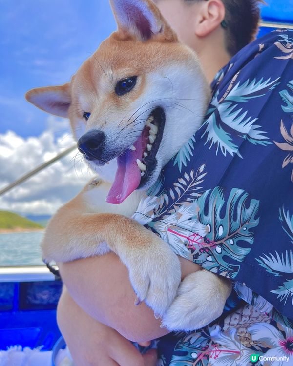 ☀🏖️處男下海記️🍧🩵