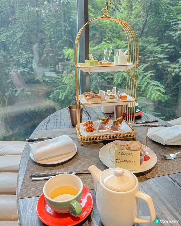 🌳金鐘隱世森林下午茶AMMO🫖