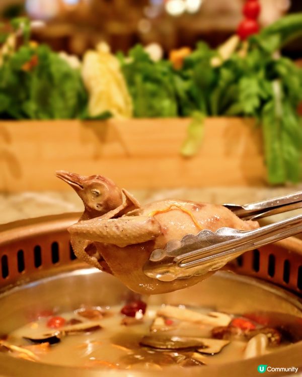 打卡+滿足你味蕾嘅火鍋店。色、香、味俱全