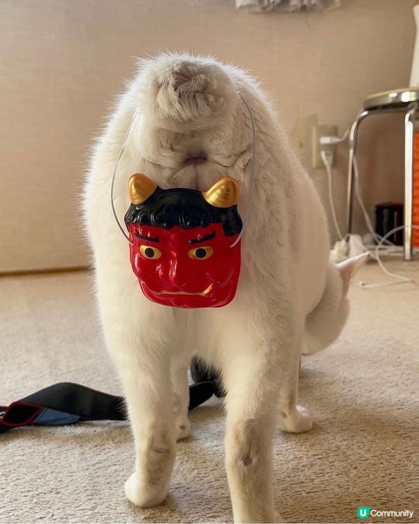 好自私, 冇得玩