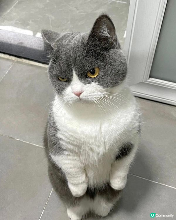 好自私, 冇得玩