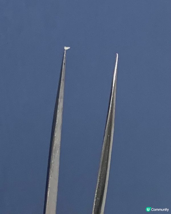 🌝中秋先黎爆瘡🏮好在有針清神器