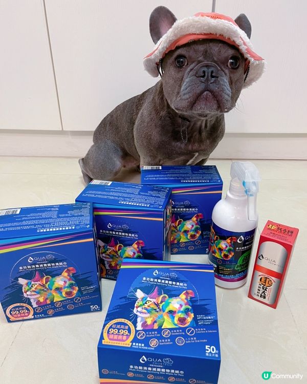 狗狗每日一清潔💕